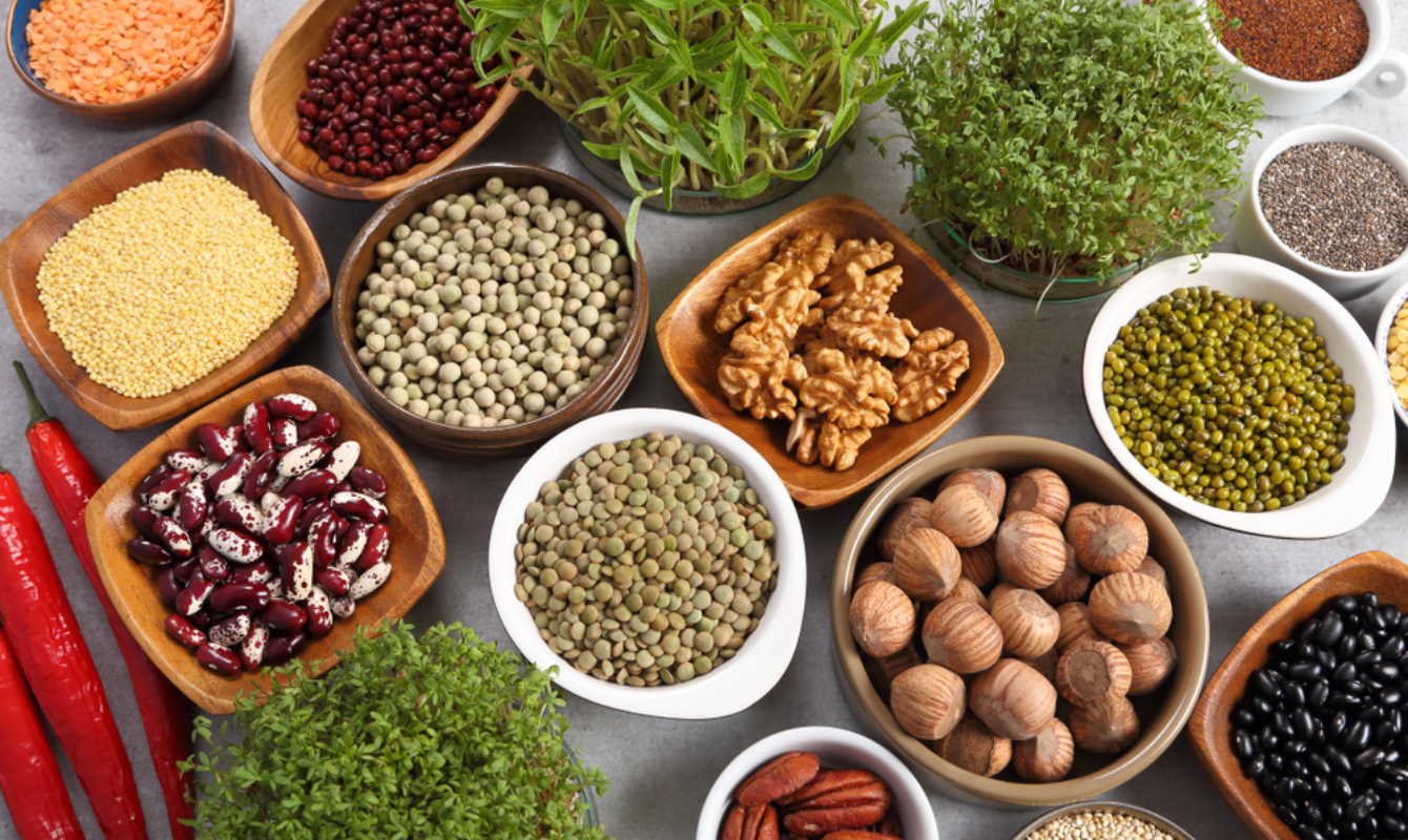 Distintos tipos de proteínas veganas